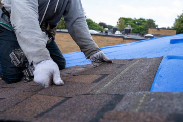 Quick and Trustworthy Emergency Roof Repair Services in Clearlake Oaks, CA
